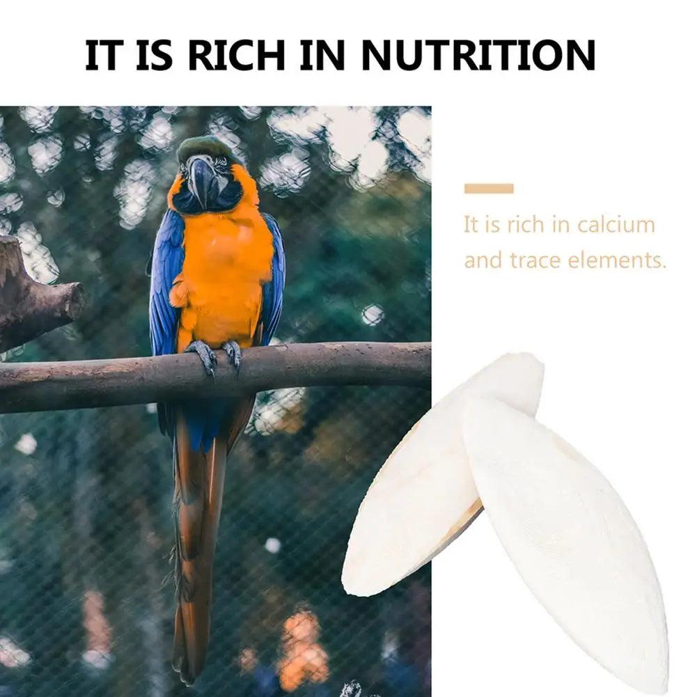 10PCS/SET Bird Cuttlebone Cuddle Bone Natural Cuddle Bone Parrot Chew Toys Chewing Cuttlefish Bone Bird Cuttlebone