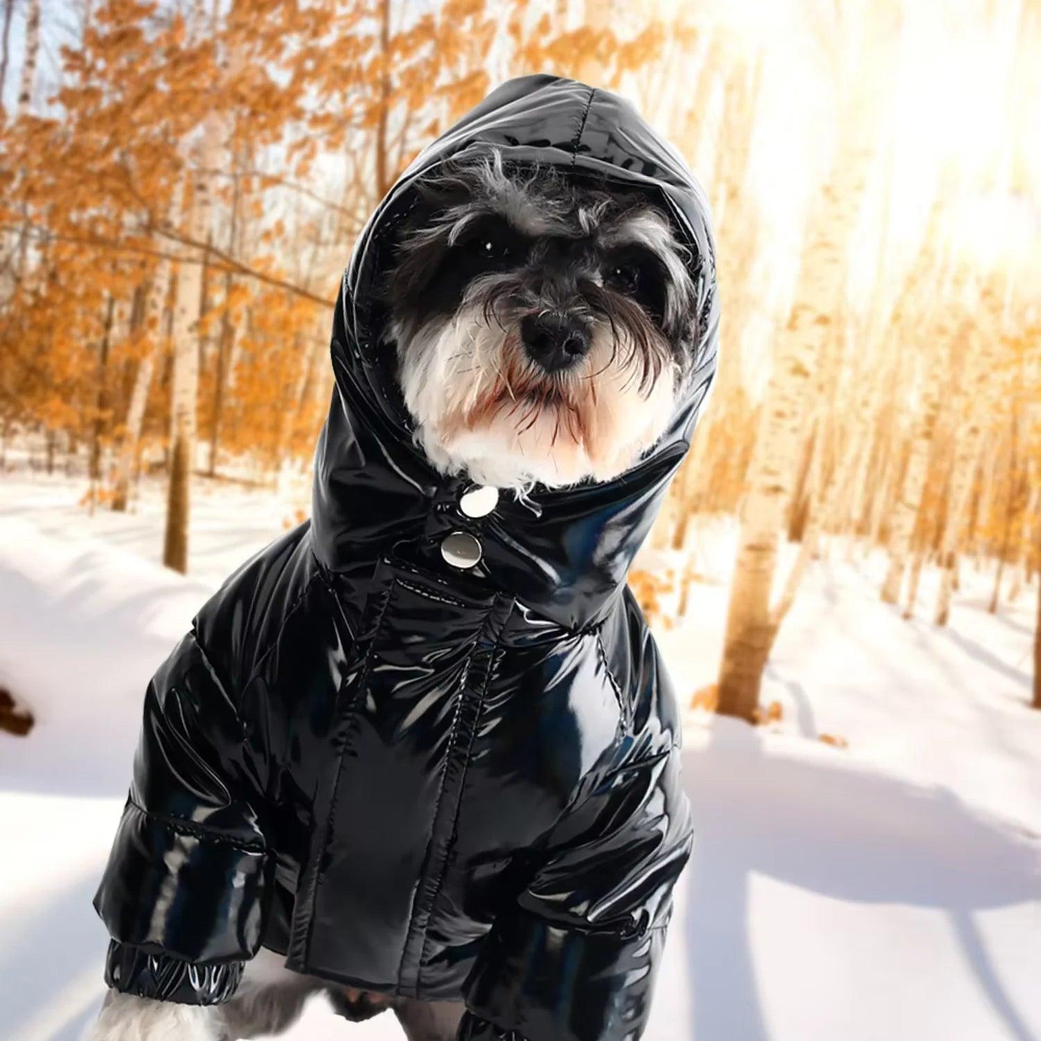 Pet Dog Down Jacket  Dog Winter Jacket Luxury Clothes Opp  Classic  Cartoon  High  Autumn Winter