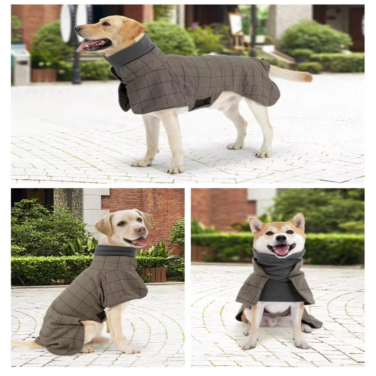 Design Luxury Jacket Waterproof Adjustable British style pet dog suit vest