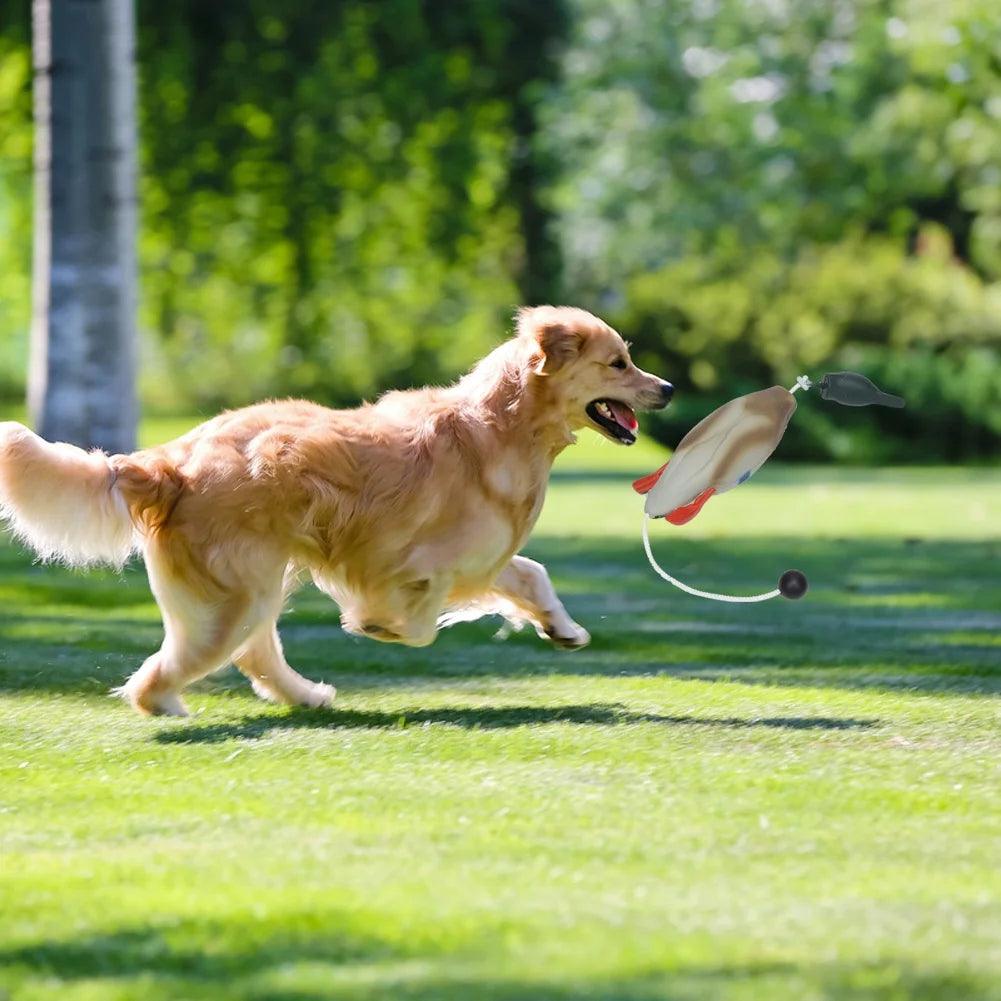 Duck Bumper Toy for Hunting Dogs, Mallard Bird Dummy for Waterfowl Retrieval Training, Puppy & Hunting Dog Training Tool