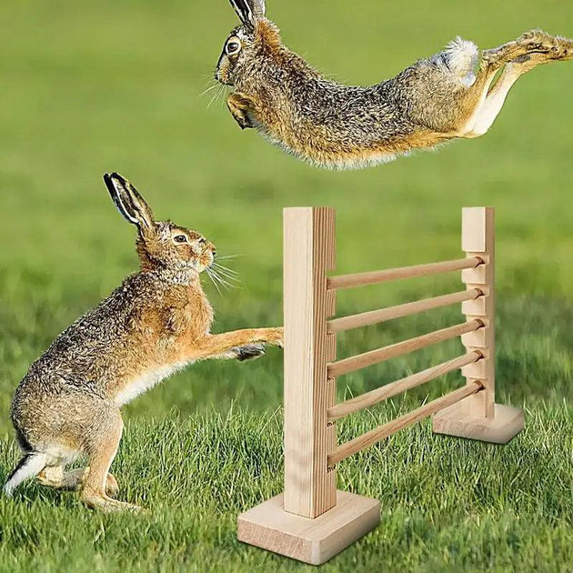 Rabbit Jump Bar Training Games Bunny Toy Interactive Rabbit Exercise Obstacle Jump Hurdle Bar Rabbit Running Height Adjustable